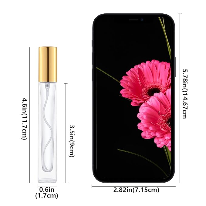 Lil Ray 10ml Perfume Atomizer for Men & Women. Refillable Glass Spray Bottle. Portable Fragrance Bottle for Travel,Party (6PCS,Gold)