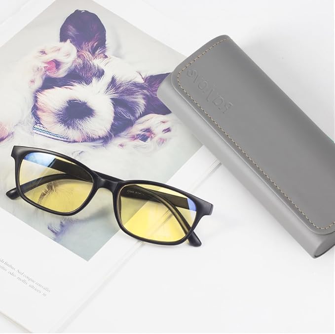 RayLove Hard Shell Glasses Case, Lightweight Leather Eyeglass Case, Travel-Friendly Sunglasses Protector for Men & Women