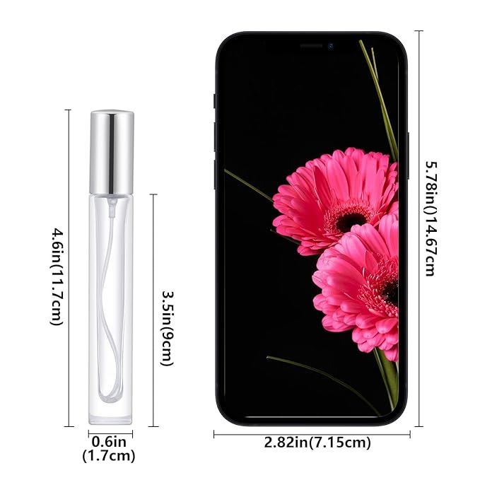 Lil Ray 10ml Perfume Atomizer for Men & Women. Refillable Glass Spray Bottle. Portable Fragrance Bottle for Travel,Party (6PCS,Silver)