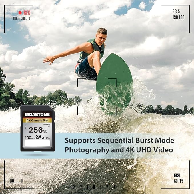 【5-Years Data Recovery】 GIGASTONE 256GB SD Card 2-Pack, 4K Camera Pro, UHS-I A1 V30 SDXC Memory Card 4K UHD Video Compatible with Digital Camera, with 2 Mini Cases