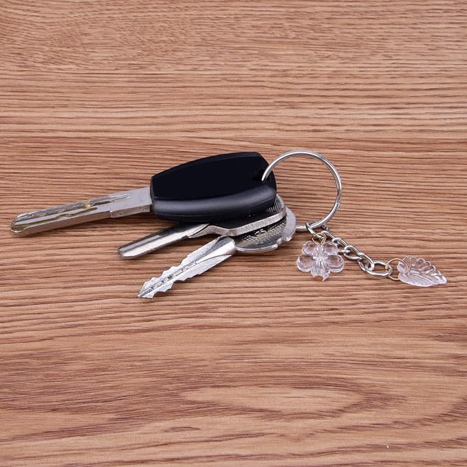 100 Pieces Metal Keychains Keyrings Key Rings with Chain and Jump Rings