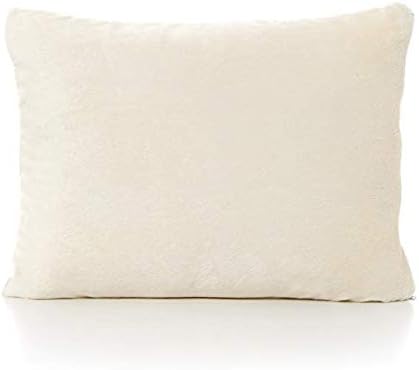 Travel Pillowcase 12x16 500 Thread Count Egyptian Cotton Set of 2 Toddler Pillowcase Zipper Closer 100% Egyptian Cotton (Toddler Travel 12x16 Zipper, Ivory Solid)