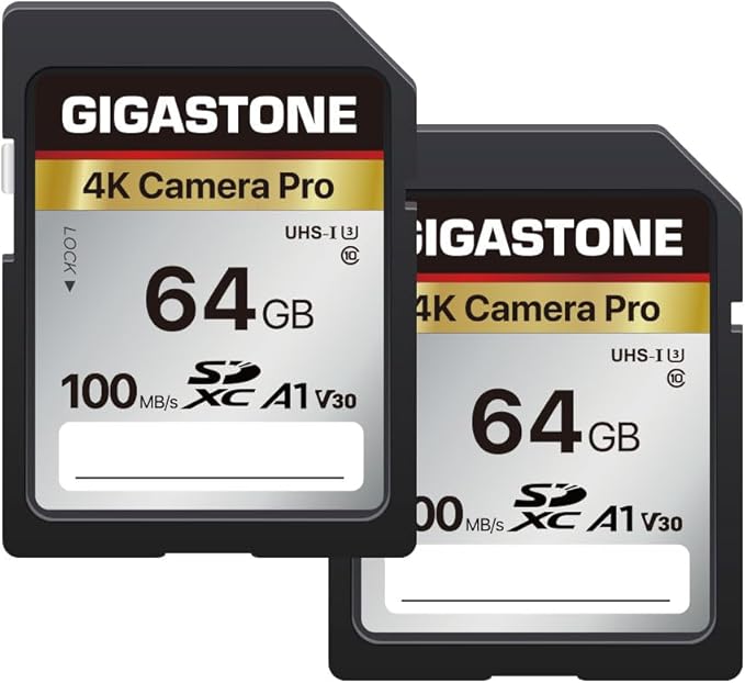 【5-Years Data Recovery】 GIGASTONE 64GB SD Card 2-Pack, 4K Camera Pro, UHS-I A1 V30 SDXC Memory Card 4K UHD Video Compatible with Digital Camera, with 2 Mini Cases