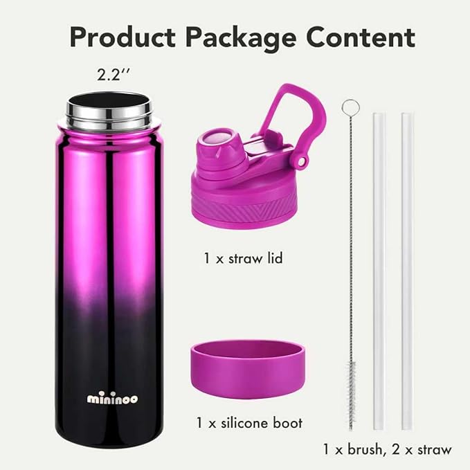 mininoo 24 oz Insulated Water Bottle with 2-in-1 Straw & Spout Lid, BPA-Free & Leak-Proof, Stainless Steel Water Bottle for Sports, Travel, and School, Purple Nova