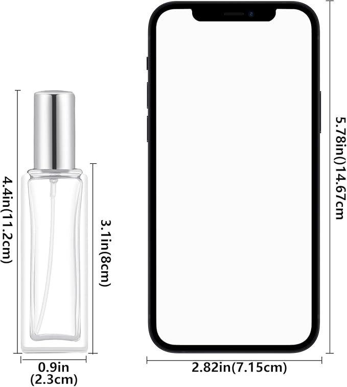 30 ml Glass Spray Bottle, 1 oz Perfume Bottles Empty, Glass Atomizer, Small Travel Atomizer Bottle Refillable (6 PCS, Sliver)