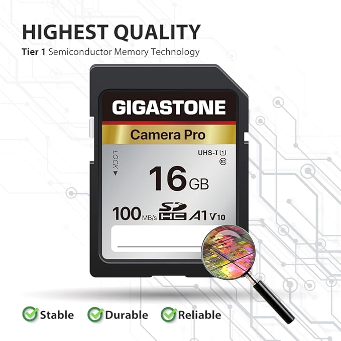 【5-Years Data Recovery】 GIGASTONE 16GB SD Card 2-Pack, Camera Pro, UHS-I A1 V10 SDHC Memory Card Compatible with SPYPOINT TACTACAM Trail Camera, with 2 Mini Cases.