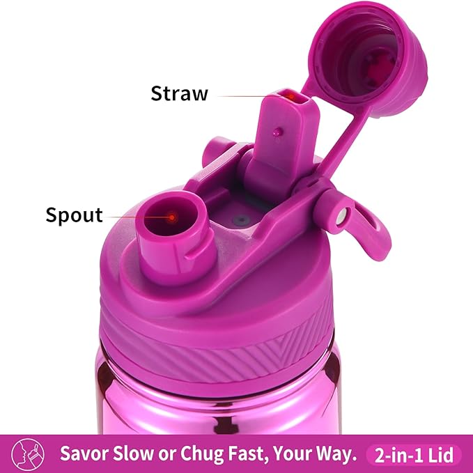 mininoo 24 oz Insulated Water Bottle with 2-in-1 Straw & Spout Lid, BPA-Free & Leak-Proof, Stainless Steel Water Bottle for Sports, Travel, and School, Purple Nova