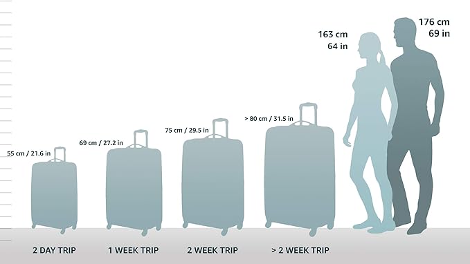 Rockland London Hardside Spinner Wheel Luggage, Silver, Carry-On 20-Inch