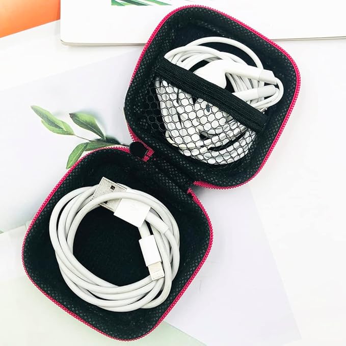 10 Pieces Earbud Case, lyfLux Square and Rectangular Headphone Case with Clips for Headphones, SD Memory Cards, Wireless Earplugs