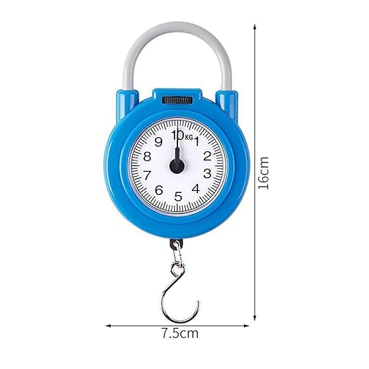 Handheld Scale, Small Food Weighing Scale 22lb Load Capacity High Accuracy Portable Kitchen Spring Scale for Household (Blue)