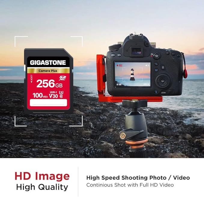 GIGASTONE 256GB SD Card, Camera Plus, UHS-I V30 U3 SDXC Memory Card High Speed UHD Video Compatible with Kodak Olympus Digital Camera, with 1 Mini case