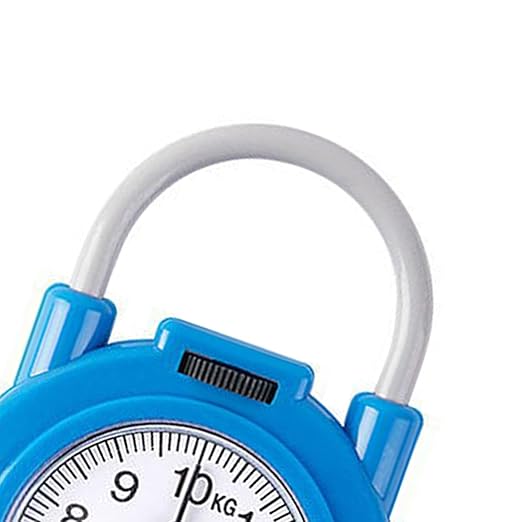 Handheld Scale, Small Food Weighing Scale 22lb Load Capacity High Accuracy Portable Kitchen Spring Scale for Household (Blue)