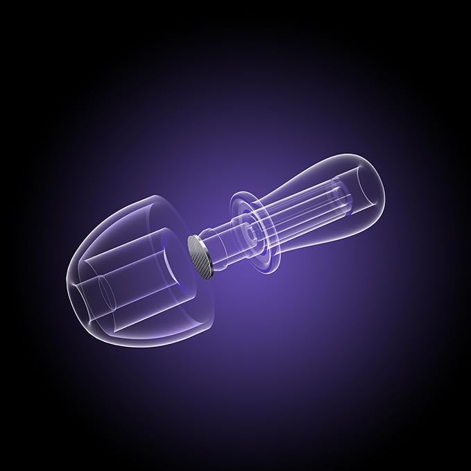 Ear Plugs for Concerts, 2 Pack High Fidelity Concert Ear Plugs with Acoustic Filter - NRR of 20-25dB Noise Reduction for Concert, Rave, Work, Musicians, Noisy Workplace Purple
