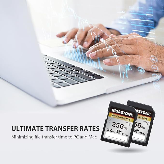 【5-Years Data Recovery】GIGASTONE 256GB SD Card, 4K Camera Pro, UHS-I A1 V30 SDXC Memory Card 4K UHD Video Compatible with Digital Camera, with 1 Mini Case