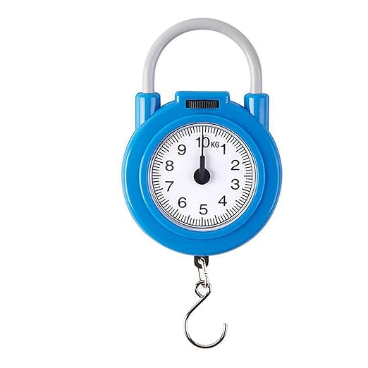 Handheld Scale, Small Food Weighing Scale 22lb Load Capacity High Accuracy Portable Kitchen Spring Scale for Household (Blue)
