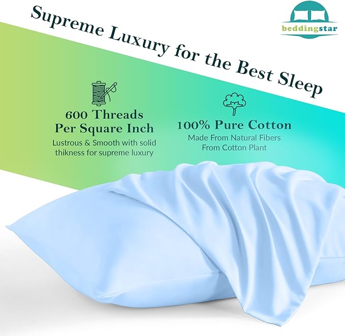 Travel Pillow Case 14x20 Set of 2 Zipper Closure Toddler Pillowcase 600 Thread Count 100% Egyptian Cotton Soft & Skin Friendly Travel Pillow Covers 14x20 Inches, Light Blue