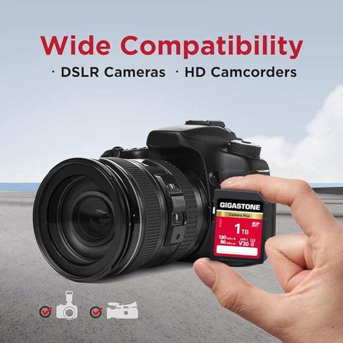 GIGASTONE 1TB SD Card, Camera Plus, UHS-I V30 SDXC Memory Card High Speed UHD Video Compatible with Kodak Olympus Digital Camera, with 1 Mini case