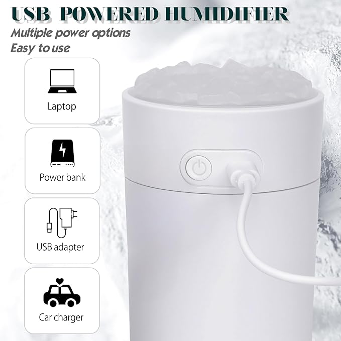 Portable Mist Humidifier Auto Shut-Off USB Powered 220ml Small Desktop Humidifiers with Colorful Light 2 Cool Spray Modes for Bedroom Office Car White