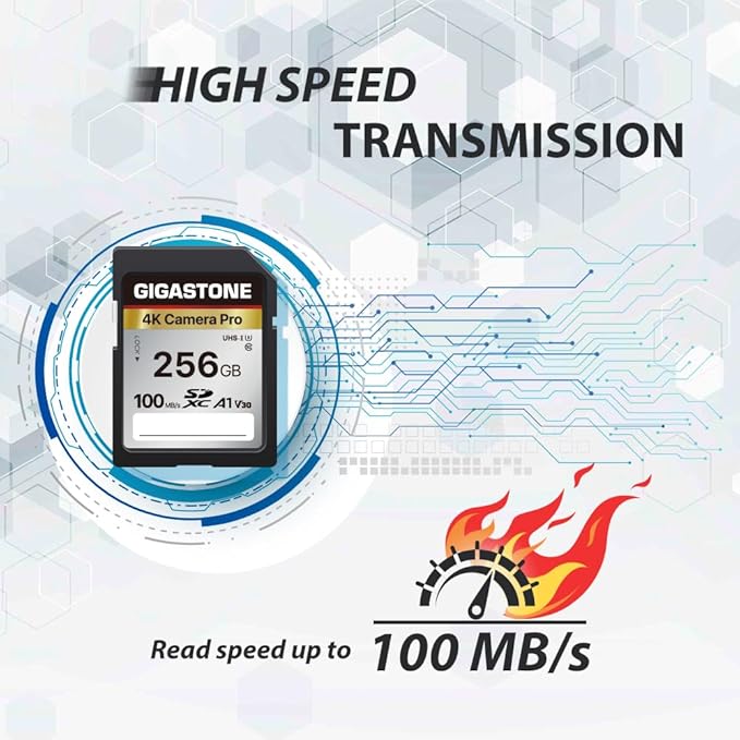 【5-Years Data Recovery】GIGASTONE 256GB SD Card, 4K Camera Pro, UHS-I A1 V30 SDXC Memory Card 4K UHD Video Compatible with Digital Camera, with 1 Mini Case