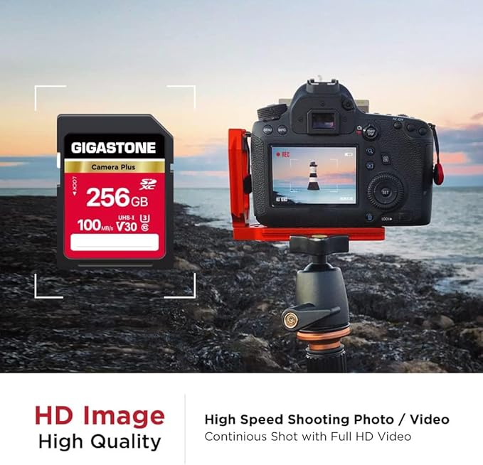 GIGASTONE 256GB SD Card 2-Pack, Camera Plus, UHS-I V30 SDXC Memory Card High Speed UHD Video Compatible with Kodak Olympus Digital Camera, with 2 Mini Cases