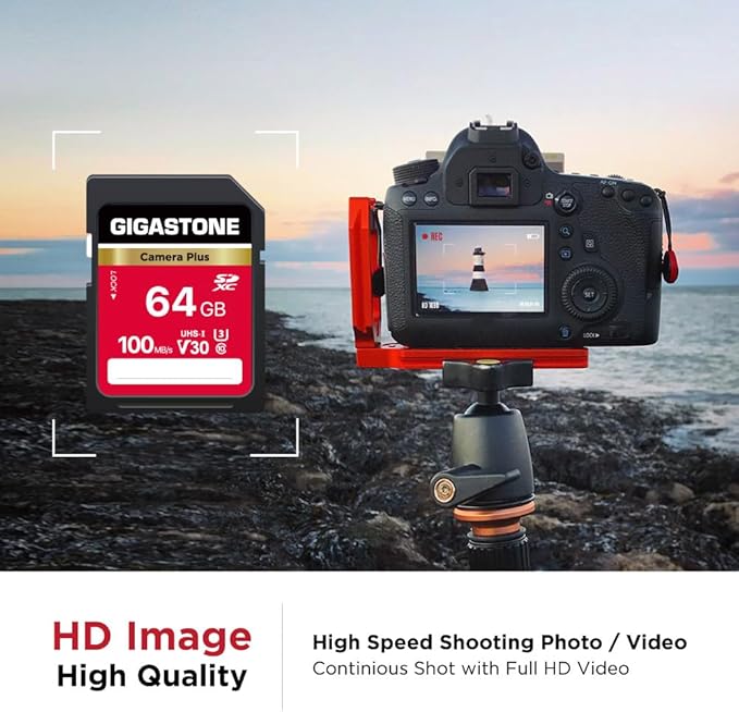 GIGASTONE 64GB SD Card 2-Pack, Camera Plus, UHS-I U3 Class 10 SDXC Memory Card Full HD Video for Digital Camera, with 2 mini Cases