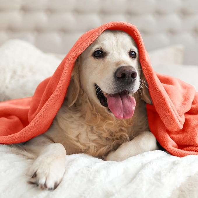 BEDELITE Fleece Blanket Twin Size Coral Red Throw Blankets for Couch & Bed, Luxury Plush Cozy Fuzzy Blanket 60x80 inches, Super Soft Warm Lightweight Throw Blanket for Travel Camping