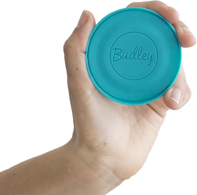 Budley - Tangle-Free Earphone/Earbud Case, Compact Storage System, Silicone (Teal, Set of 1)