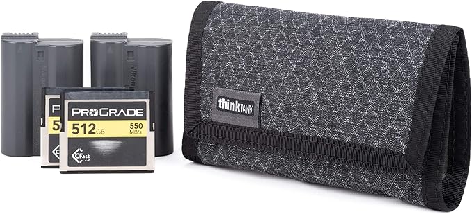 Think Tank Memory Card and Battery Wallet, Holds 2 CF or 4 SD Memory Cards (Black Slate)