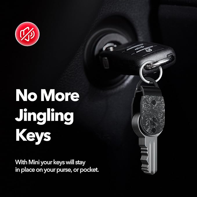 QEG Key Organizer,Keyholder Keychain, Compact Metal Key Case, Minimalist Key Fob,Keychain For Men,Holds 2-6keys