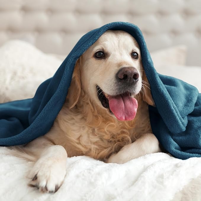 BEDELITE Fleece Blanket Twin Size Mineral Blue Throw Blankets for Couch & Bed, Luxury Plush Cozy Fuzzy Blanket 60x80 inches, Super Soft Warm Lightweight Throw Blanket for Travel Camping