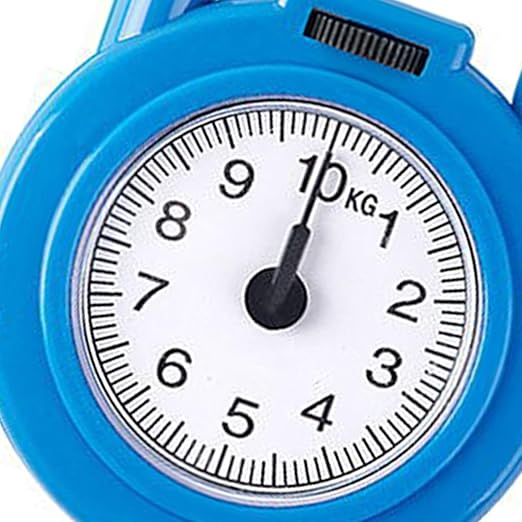 Handheld Scale, Small Food Weighing Scale 22lb Load Capacity High Accuracy Portable Kitchen Spring Scale for Household (Blue)