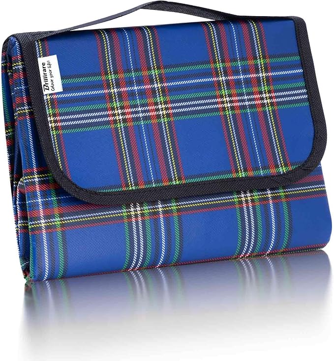 Beach Picnic Blanket, Sandproof Waterproof Camping Blankets Large, Outdoor Sandfree Foldable Mat 55x40in, Oversized Packable Family Mats for Hiking, Camping, Park, Travel, Grass Concert-Blue
