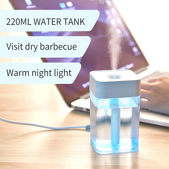 Portable Small Humidifier, Auto Shut-Off USB Personal Desktop Humidifier for Car, Office Room, Bedroom (Colorless)