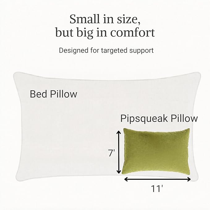 Pipsqueak Microfiber Pillow - Small, Mini, Tiny - 11 x 7 in - Perfect for Travel, Cars, Airplanes, Camping, Dogs, Toddlers, Kids, Lumbar, Knees and Neck - Ages 2 Yrs and Up