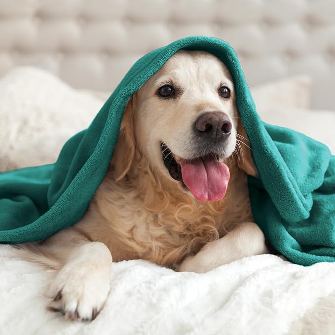 BEDELITE Fleece Blanket Emerald Green Throw Blankets for Couch & Bed, Luxury Plush Cozy Fuzzy Blanket 50x60 inches, Super Soft Warm Lightweight Throw Blanket for Travel Camping