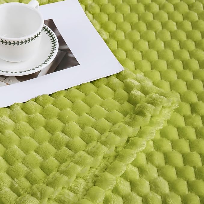 Bnuitland Fruit Green Flannel Throw Blanket (50X40 inches), 300 GSM Fleece Cozy Warm Soft Lightweight Bed Sofa Blanket for Babys and Pets, Suitable for All Seasons