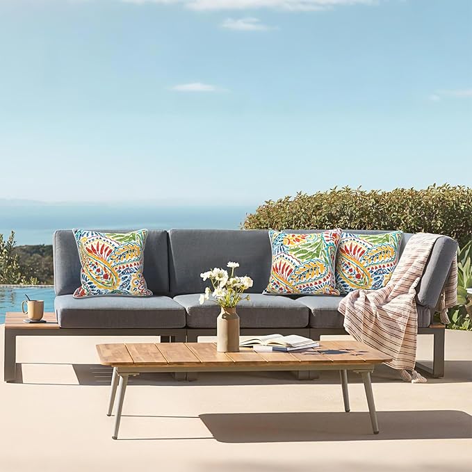 LVTXIII Outdoor/Indoor Throw Pillows, Decorative Patio Accent Pillows, Fluffy Water Repellent Garden Cushions for Home Patio Coach Sofa Use, 18×18 Inch, Pack of 2, Paisley Multi