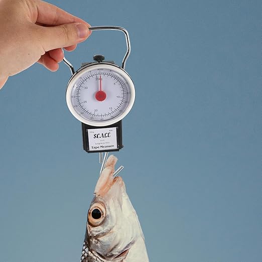 Portable Hanging Luggage Scale 35kg Heavy Duty Hook Weighing Scale Mini Portable for Travel and Outdoor Use