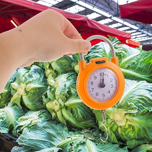 Portable Electronic Hanging Scale with Hook High Precision Small Travel Luggage Weight Scale for Suitcases and Fishing for Home and Outdoor Use