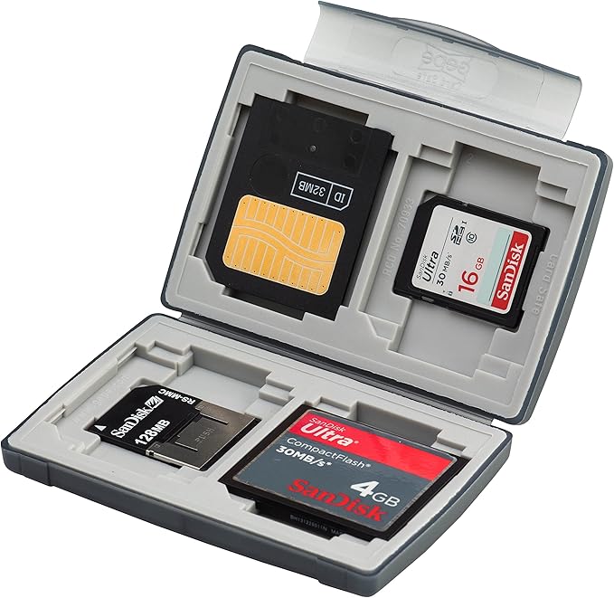 Gepe 3856E CardSafe Basic Duo for Compact Flash, SD, Smart Media, Multimedia Card, & Memory Stick (Onyx)