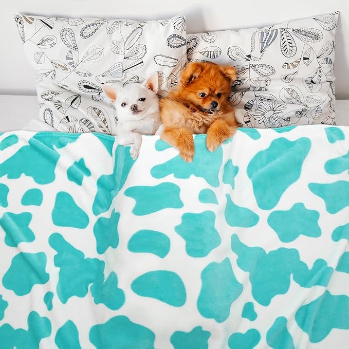 HSEEC Blue Throw Blanket for Bed - Lightweight Soft Fleece Blanket Throws for Couch, Fuzzy Cozy Bedding Decor for Girls Bedroom, Living Rome, All Seasons - Light Teal Blue Gifts for Women 60" x 80"