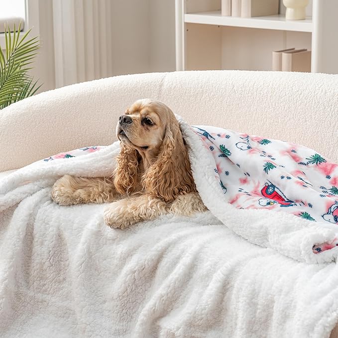 Berkshire Blanket Peanuts® Sherpa Blanket, 480gsm Warm Reversible Heavy Thick Blanket for Couch, Bed & Travel (Springtime Flower Fields Tiedye Pink, Full/Queen Size 90" x 90")