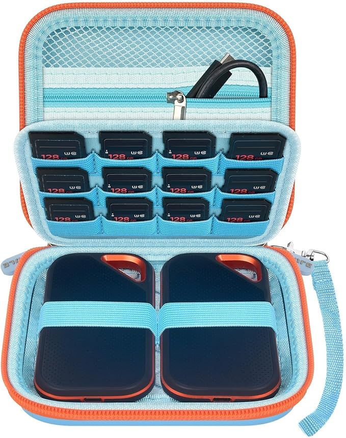 PAIYULE Case Compatible with SanDisk Extreme new and Old Model/Extreme PRO Portable SSD 500GB 1TB 2TB 4TB 8TB, Hard Travel Storage Case Holds 2 SSDs, 12 SD Card Slots, Cable Organizer,Blue