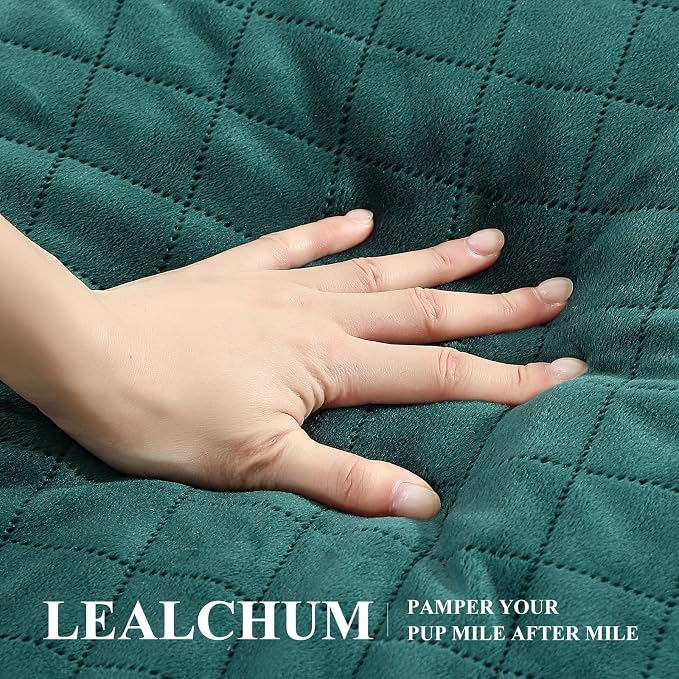 Lealchum Dog Car Seat for Medium/Large Dogs,2 Clip-On Safety Leashs for 2 Small Dogs,Removable and Washable Comfy Pet Car Seat,Easy to Install and Clean (Green, Large)