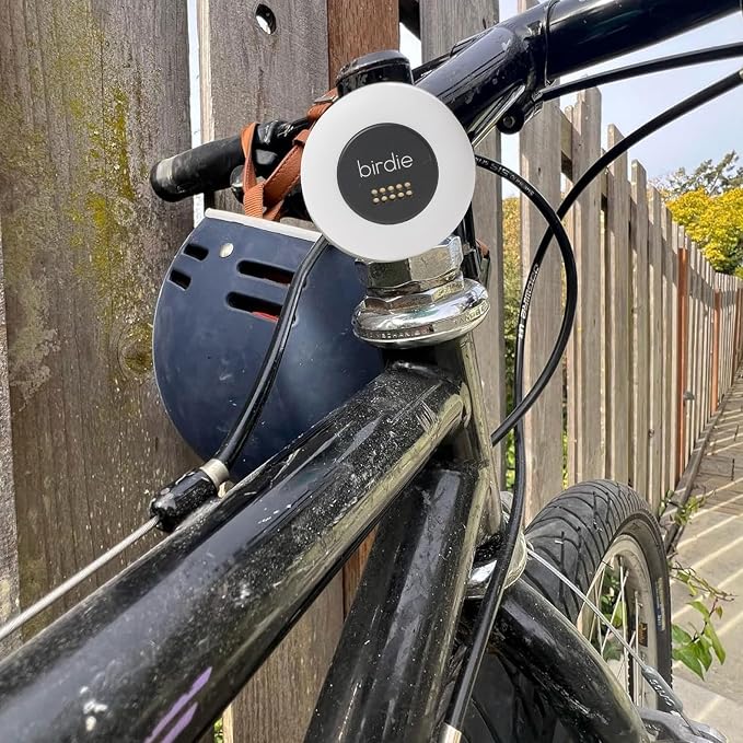 She's Birdie - The Original Personal Safety Alarm Disc for Bikes, Hikes, and Late Nights - Loud Siren, LED Light for Extra Visibility, Rechargeable, Handsfree, Lightweight, Water Resistant (Charcoal)